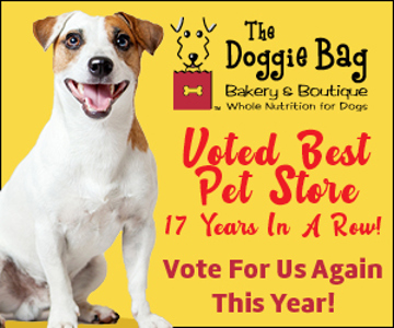 Best Pet Store