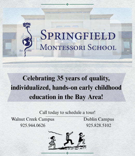 Springfield Montessori - Individualized Early Childhood Education
