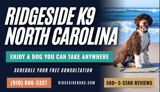 Ridgeside K9 NC builds confident, well-trained dogs you can take anywhere with you, so your dog can be part of your life, not left behind.