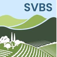 Suisun Valley Business Solutions